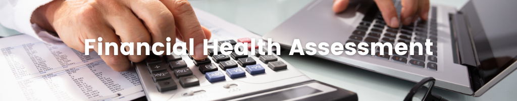 Financial Health Assessment